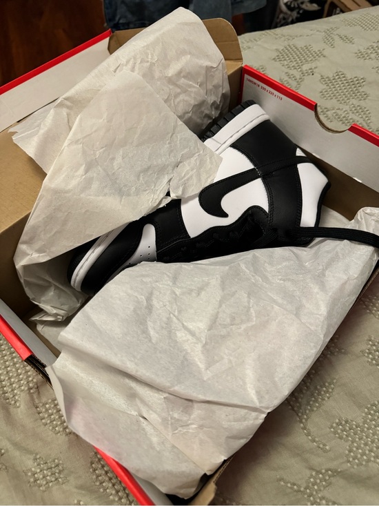Nike Men’s panda dunk hi retro main image 4